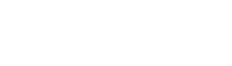 airlines.SV